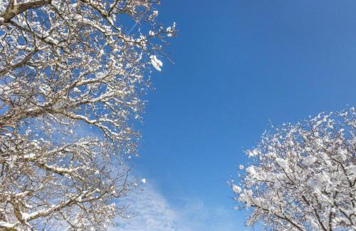 Apartment Bergblick - Foto 20