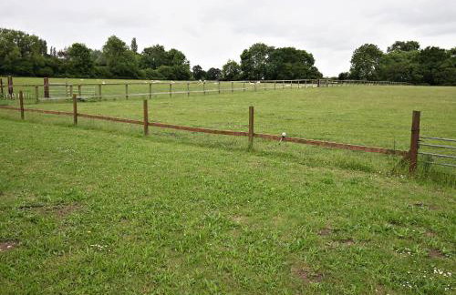 Orchard Farm Cottage - Photo 15