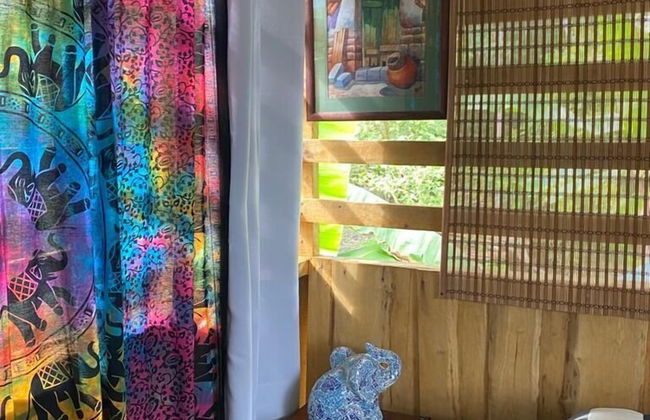 Morning Glory - Foto 10