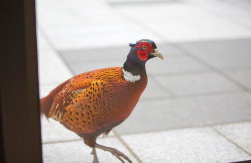 The Invergarry - Royal Deeside Luxury 5 star Couples Retreat with Hot Tub, Aboyne - Foto 36