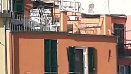 Pepita di Rio - Foto 5