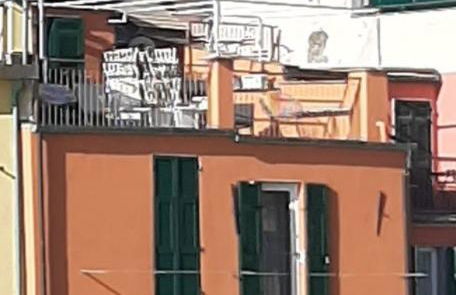 Pepita di Rio - Foto 5