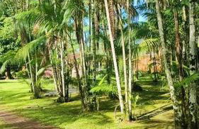 Chácara Bela Vista - Photo 50