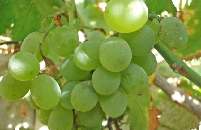 Seaside House 2 Double Bedrooms With Spectacular Mountain Sea View - Foto 13