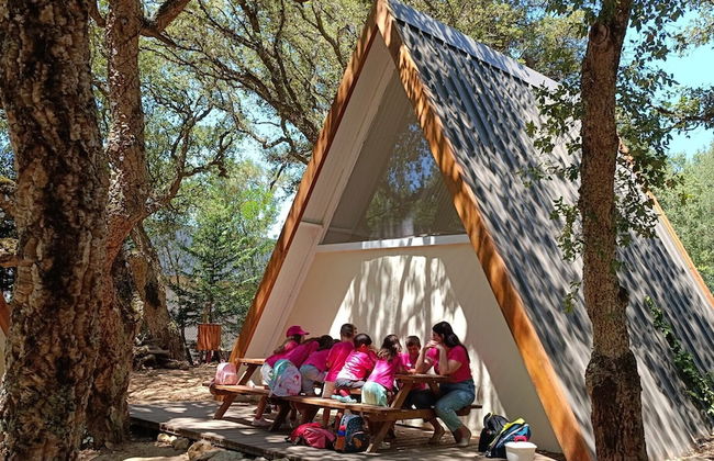 Natura Fun House & Camping - Foto 42