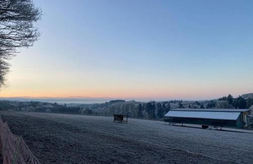 Zimis Hofnest - Foto 37