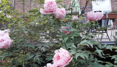 Ferienwohnungen Salzwedel Weissbach - Foto 3