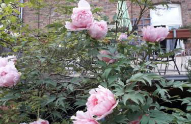 Ferienwohnungen Salzwedel Weissbach - Foto 3