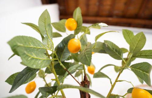 Pinedo Playa Rustico - Photo 15