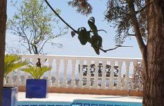 Cresta Azul - Foto 21