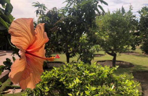 Authentic Andalucia - Photo 43