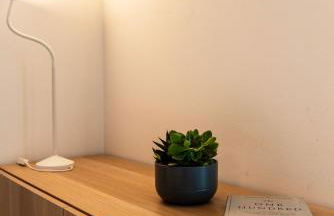 Youhosty-Mezzofanti 24 - Foto 8