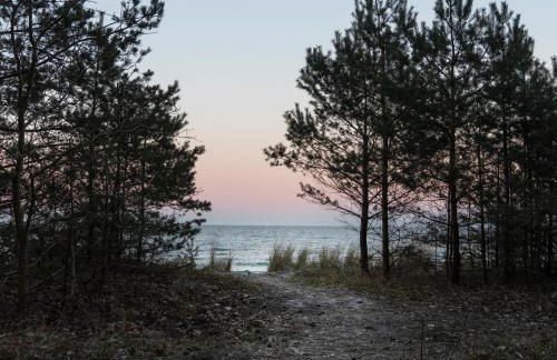 Safari Lodge Prora - mit Sauna und direktem Strandzugang - Foto 36