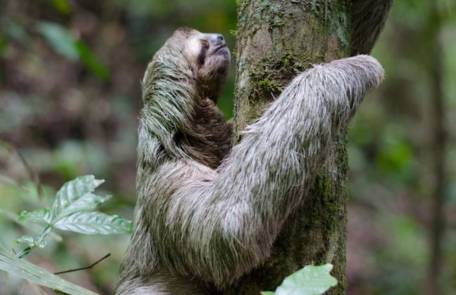 Casa Hacienda Jaguar - Foto 62