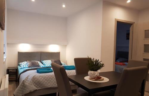 Apartamenty u Sikory - Foto 17