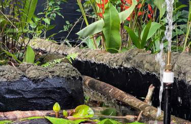 REFUGIO DO SAGRADO MORERE Tropical Lodge - A Casa do Vigía - Foto 71