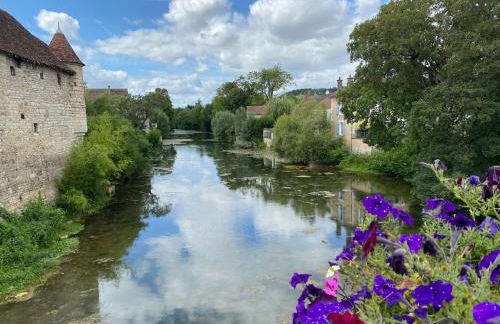 Le Merrain gîte plein coeur de Chablis - Foto 28
