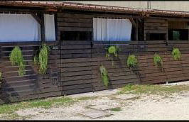 LaBandaBassottiFerrara - Foto 16