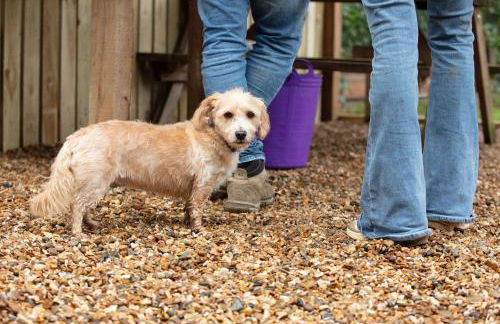 City to Country Retreat Luxury Lodges with Hot Tub, BBQ, Fire Pit - Foto 71