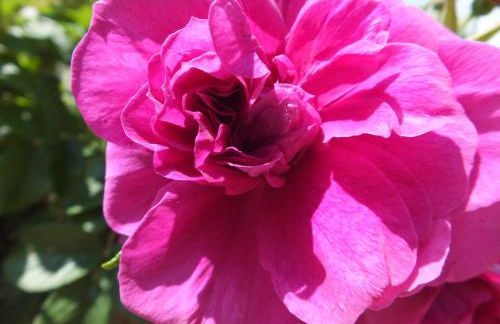 Casa Vacanze Santa Maria - Foto 32