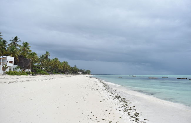 Jambiani House - Photo 30