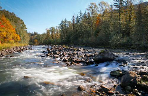 Riverside Retreat - Photo 63