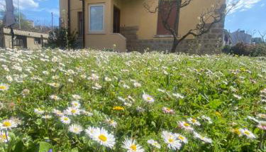 Casa Vacanza Alle Pratoline covered parking for bicycles and motorcycles - Foto 3