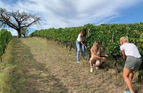 Casa villetta "La Colomba" Nizza Monferrato - Foto 38