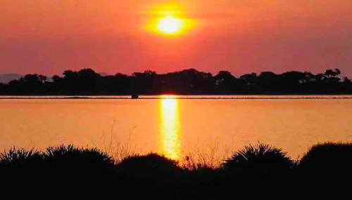 Les flamants Roses la Capte Clim 4pers 100m plage - Foto 2