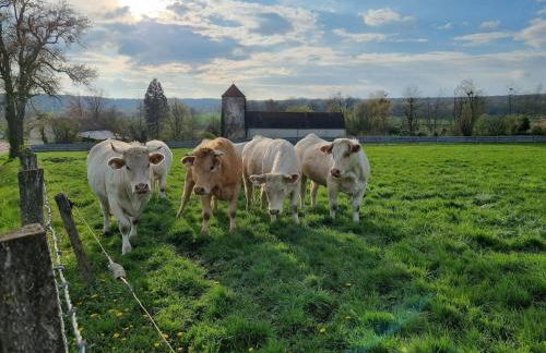 Le Moulin de mon Père, 20 pers, Piscine, campagne. - Foto 31