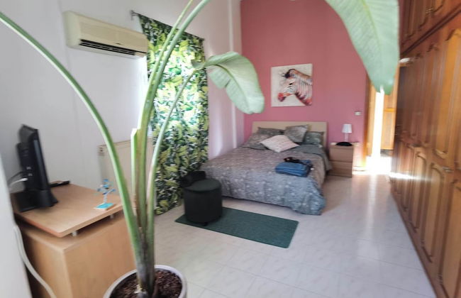 Freeman Greenlees Classical Greek - Foto 6