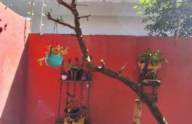 Casa chalé - Foto 59