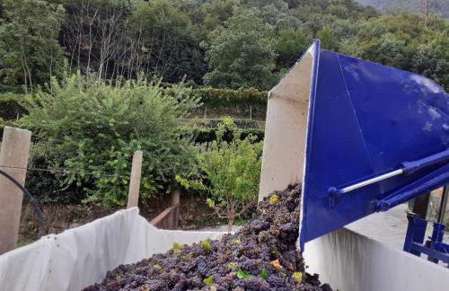 La Caigola - Foto 29