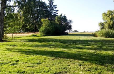 Gute Stube - Foto 23