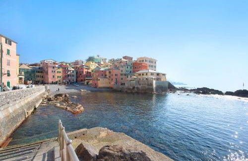 Il ciliegio di Miki - Foto 23