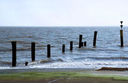 Grommy`s 2 Eckwarden - Foto 31