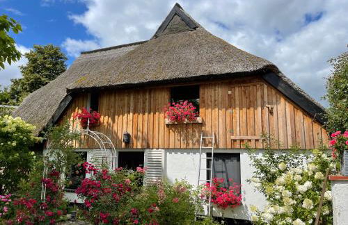 Naturwerk Ostsee - Foto 1