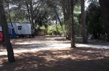 Agriturismo Vignavecchia - Foto 55