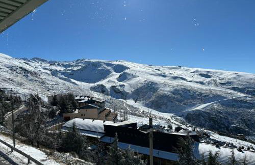 Biznaga Nevada - Foto 50