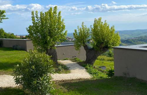 La Collina dei Gelsi - Foto 59