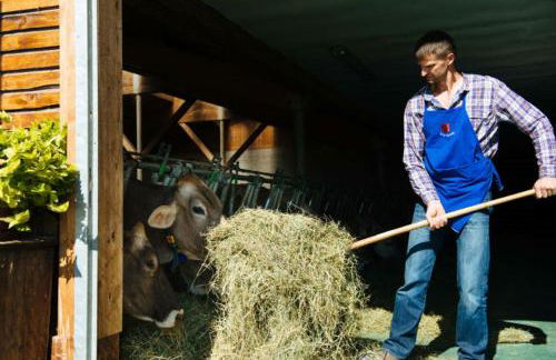 Mair am Graben Farm Chalets - Foto 6