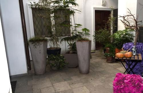 In pieno centro storico Ca Marì e Casa Elena - Foto 10