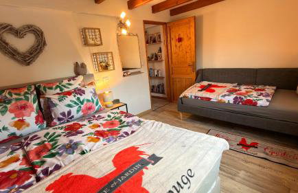 GITE LE COQ ROUGE - Foto 17