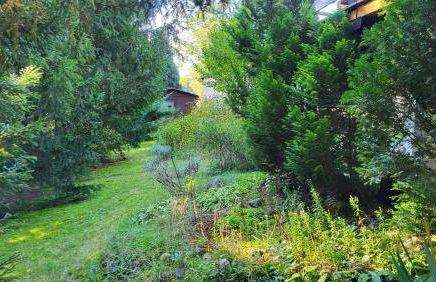 Finnhütte zwischen Wald und See - Foto 19