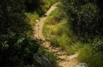 Vintage RV Creekside Nature Retreat near Ojai next to Swim Holes Hike - Foto 54