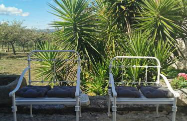 Casa da Nogueira - Foto 8