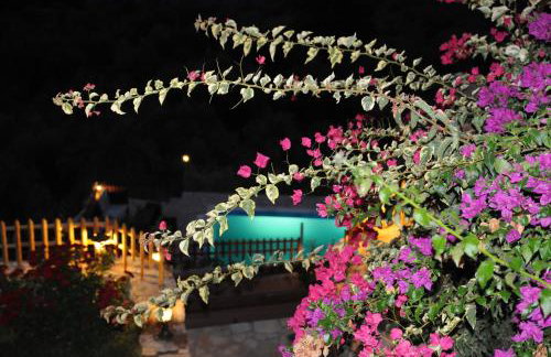 Dio Escapes Houses - Photo 154