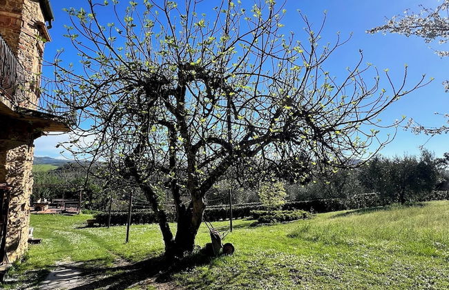Agriturismo Podere Cortilla - Foto 73