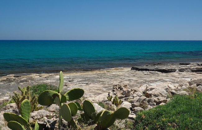 Cala Sol - Primula - Foto 11