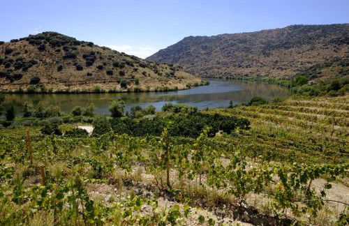 Olhares do Douro - Foto 12